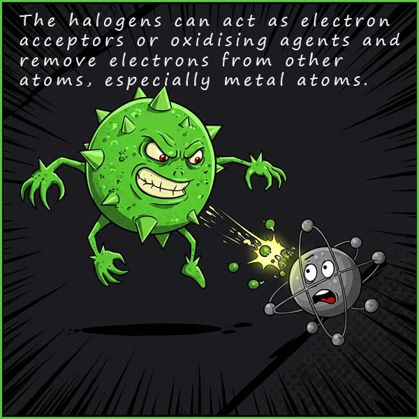 Image show sthe ability of halogens to act as oxidising agents, especially in their reactions with metals